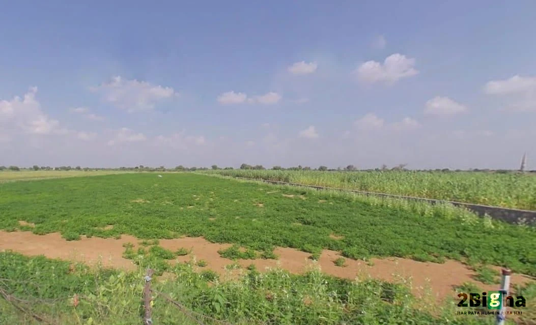 Palu Kalan, Rajasthan 303348, India