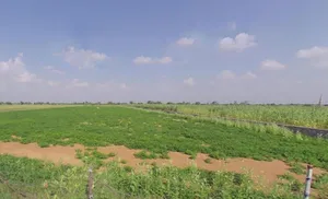 Palu Kalan, Rajasthan 303348, India preview 3