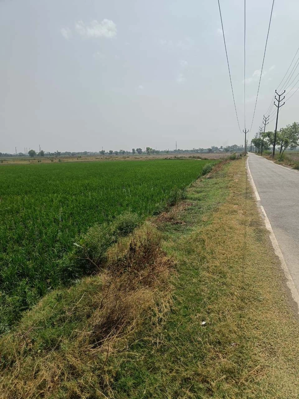 Aou, Rajasthan, India