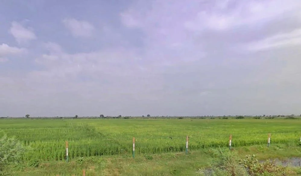 C328+69 Kapren, Rajasthan, India
