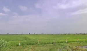 C328+69 Kapren, Rajasthan, India preview 2