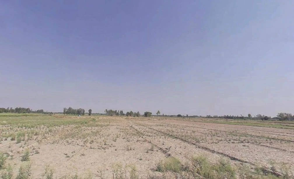 Jalalabad, Uttar Pradesh 242221, India