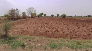 5VC9+3F9, Pitamali, Madhya Pradesh, India preview 2