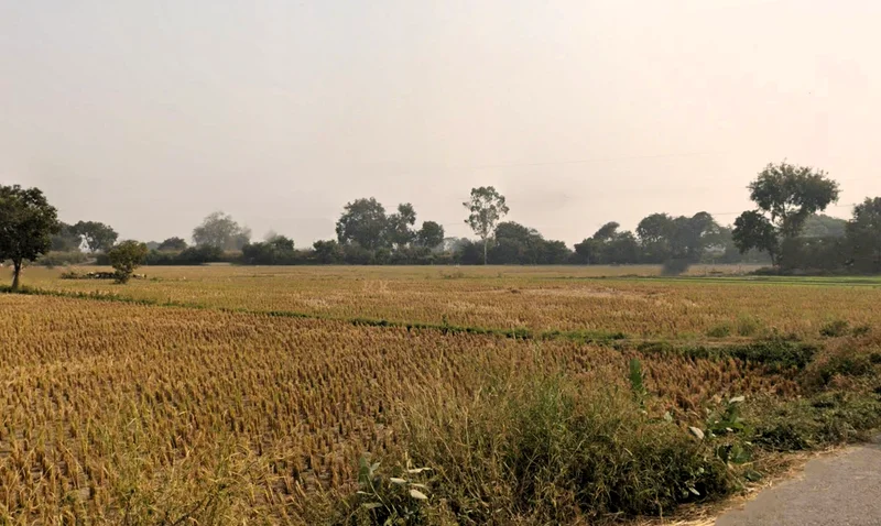 Rohtak, Haryana, India preview 3