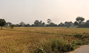 Rohtak, Haryana, India preview 3