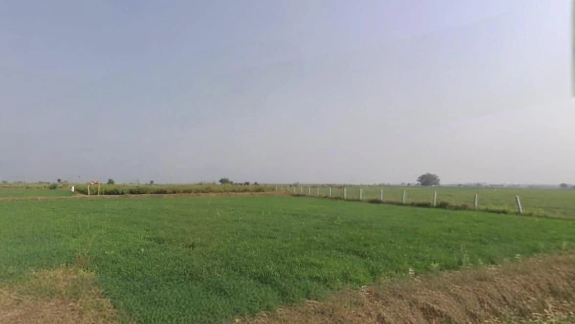 Jasalpur, Madhya Pradesh 461001, India