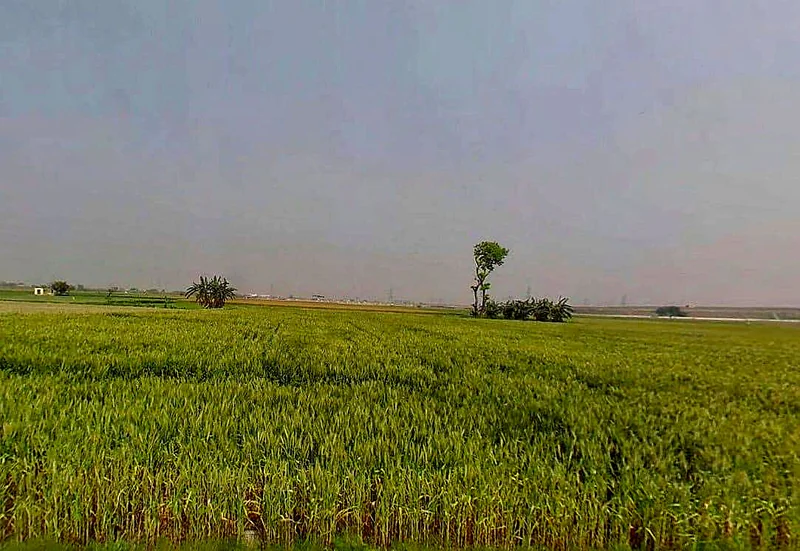 6QRQ+2Q, Bargaon, Rajasthan 324008, India preview 3