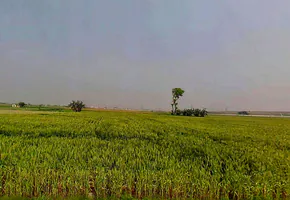 6QRQ+2Q, Bargaon, Rajasthan 324008, India preview 3