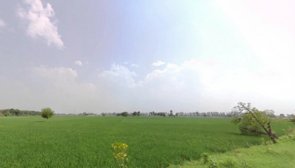 Ridhau, Haryana 131408, India