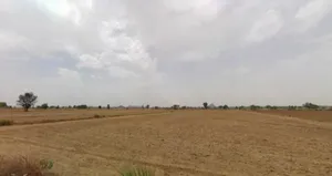 Nagaliya, Rajasthan 301405, India preview 2