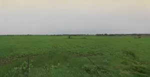 Maurawan, Uttar Pradesh, India preview 2