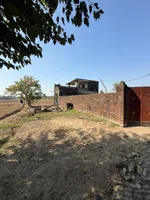 M8HH+7MF, Gulalwali, Uttar Pradesh 246749, India preview 2