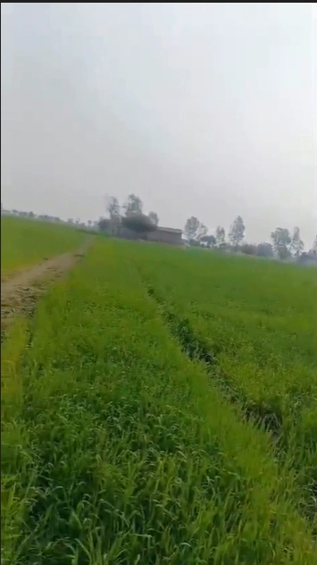 VRJV+H96, Dharampuri, Madhya Pradesh 454449, India