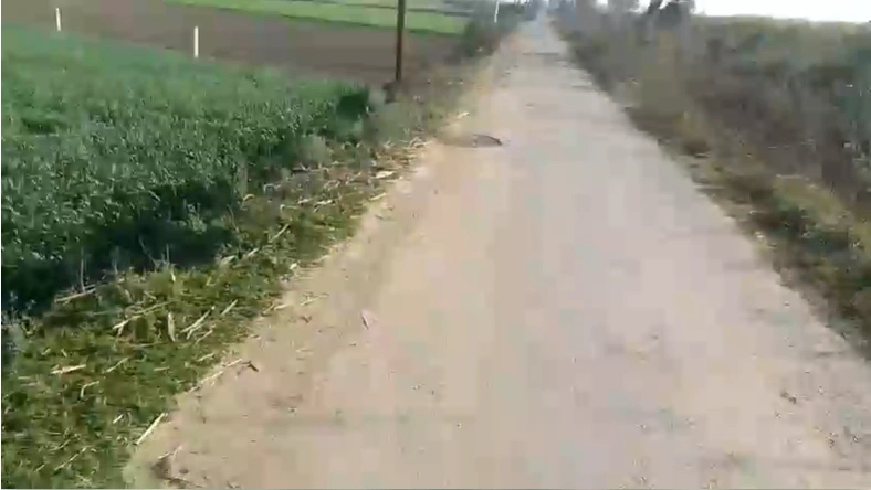 7662+M33, Patiala, Gajjumajra, Punjab 147101, India