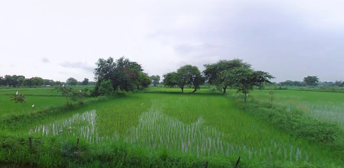 Jewar, Uttar Pradesh 203135, India