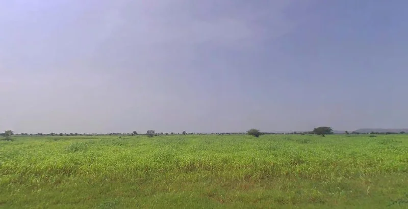 Pahari, Rajasthan, India preview 3