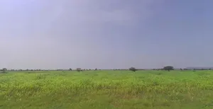 Pahari, Rajasthan, India preview 3