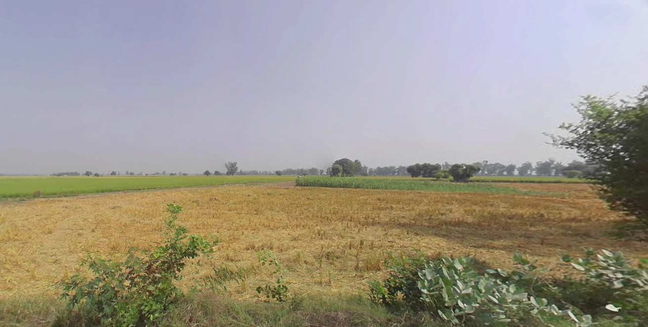 Lehragaga, Punjab 148031, India