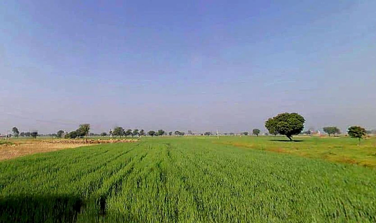 Naswari, Rajasthan 301026, India