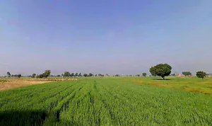 Naswari, Rajasthan 301026, India preview 2