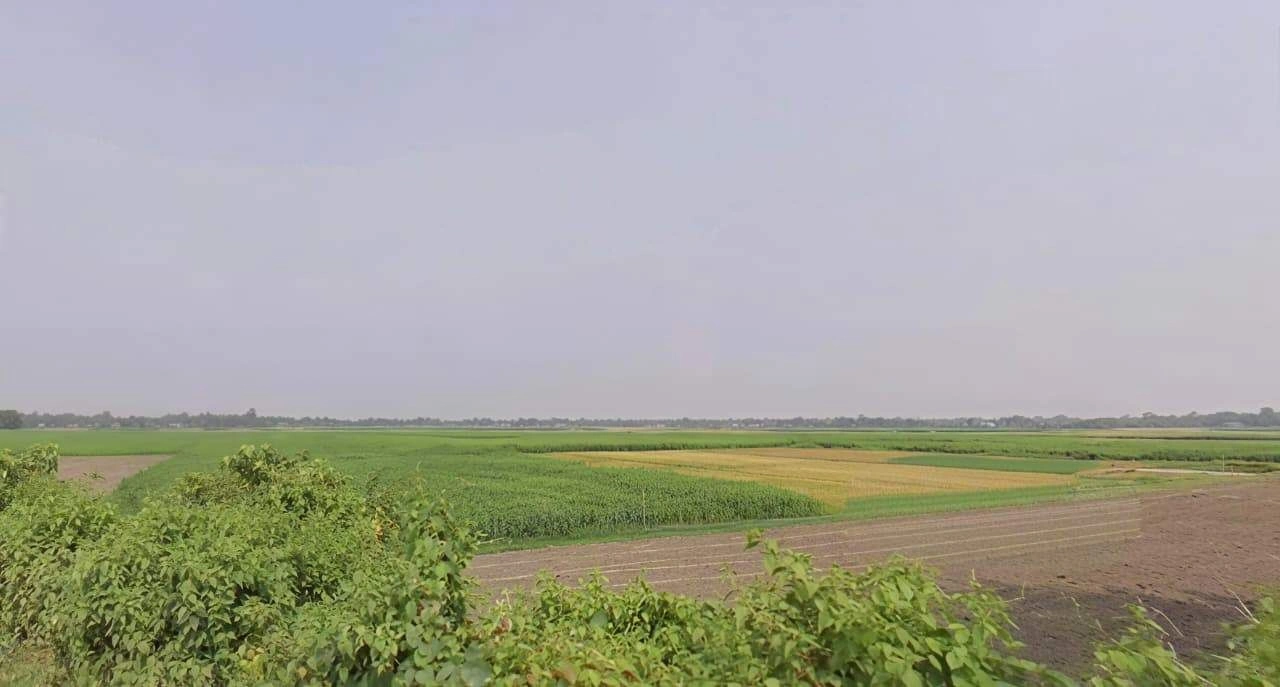 CG2W+MMW गौशाला, MDR 15, Searmau, Madhya Pradesh 470235, India preview 2