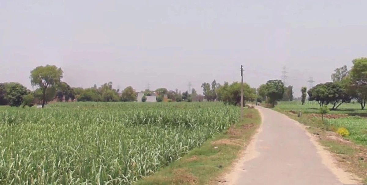 Kanadiya, Madhya Pradesh 452016, India