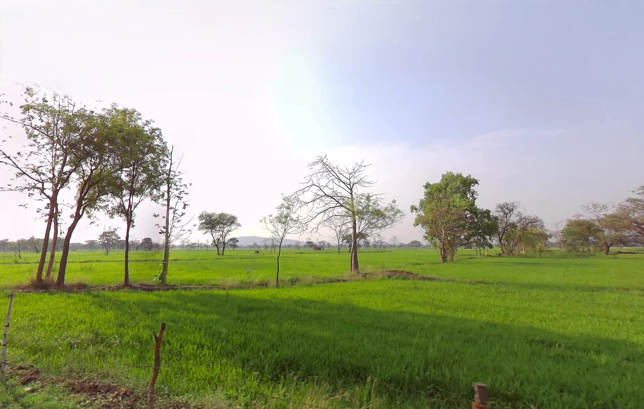 Khallari, Chhattisgarh 493449, India