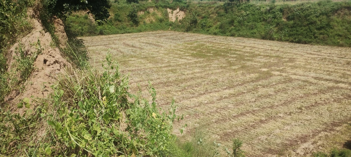 Jugrawar, Rajasthan, India