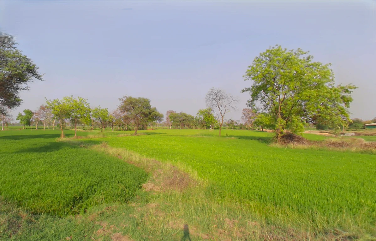 Ataria, Chhattisgarh 491885, India