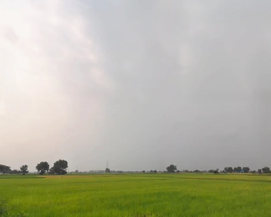 Kohara, Punjab 141112, India