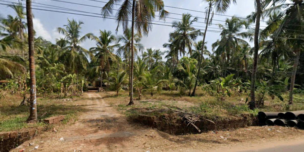 67, Chajeri puramb, Tanur, Kerala 676302, India