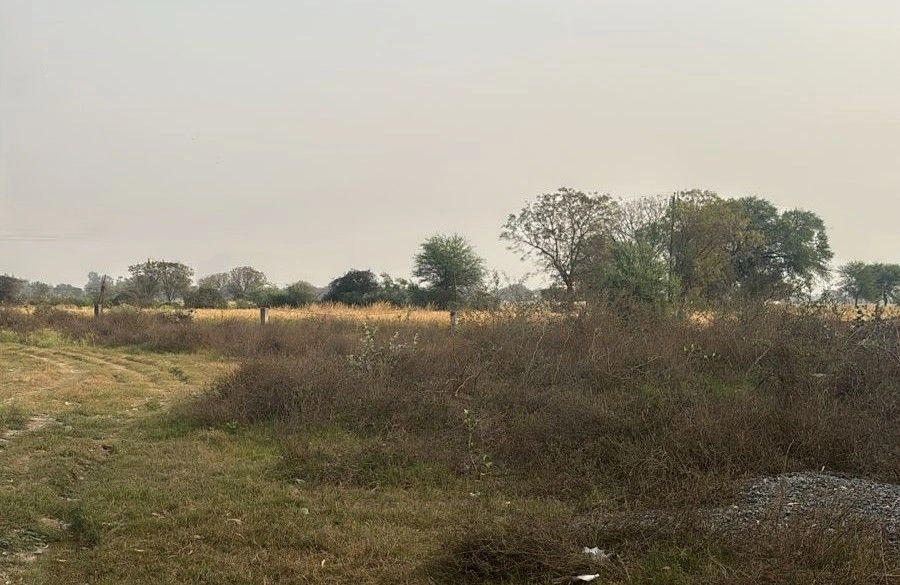 Hathin - Palwal Rd, Sector 10, Palwal, Palwalrural, Haryana 121102, India preview 3