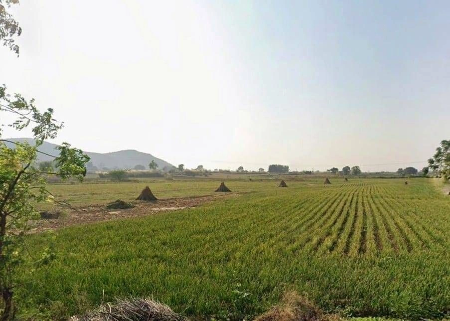 2VCC+P8V, Bhatkol, Khidarpur, Rajasthan 301411, India