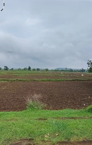 Rairu, Madhya Pradesh 474005, India