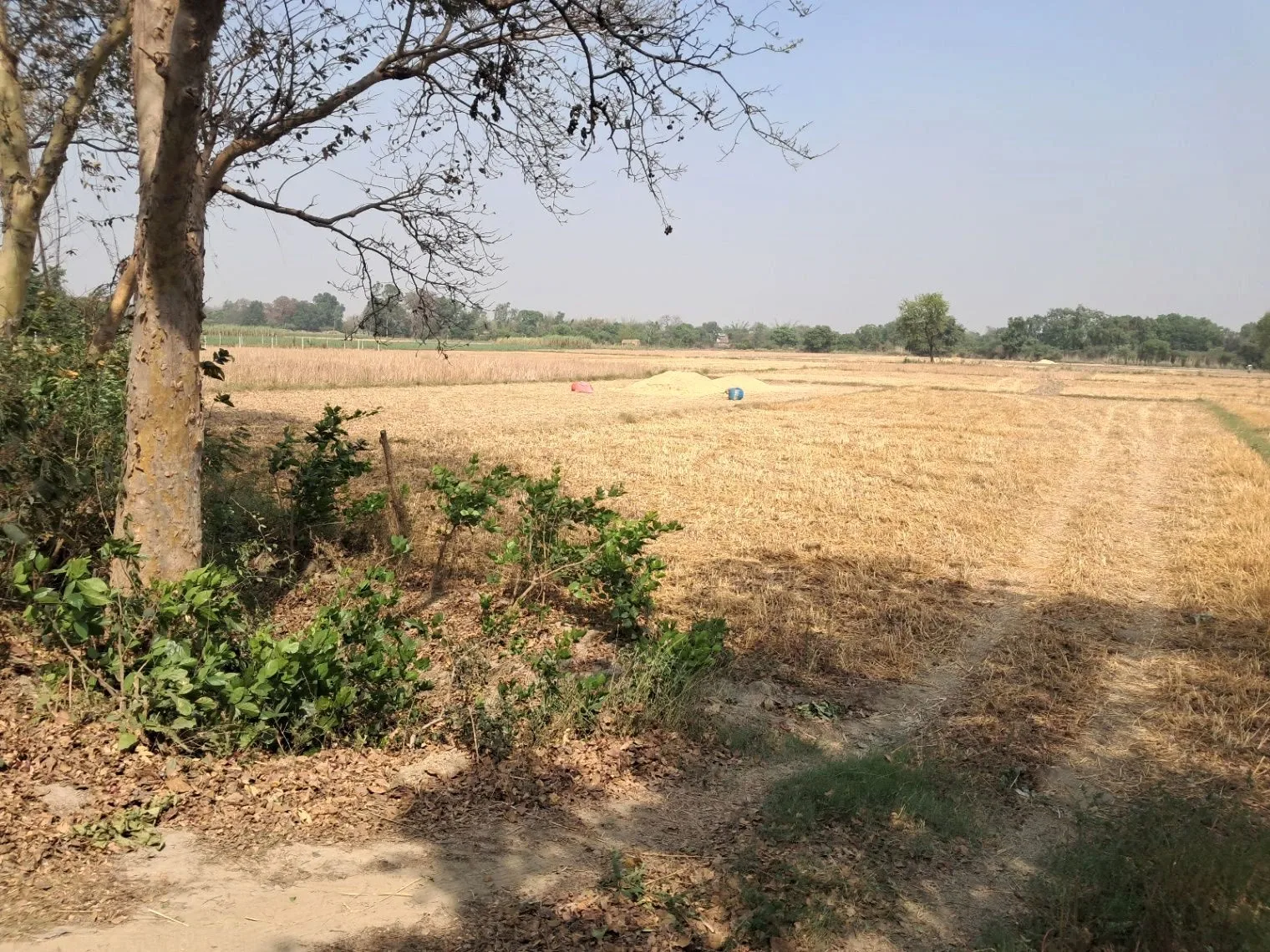 M2RC+WG Taram Khas, Uttar Pradesh, India