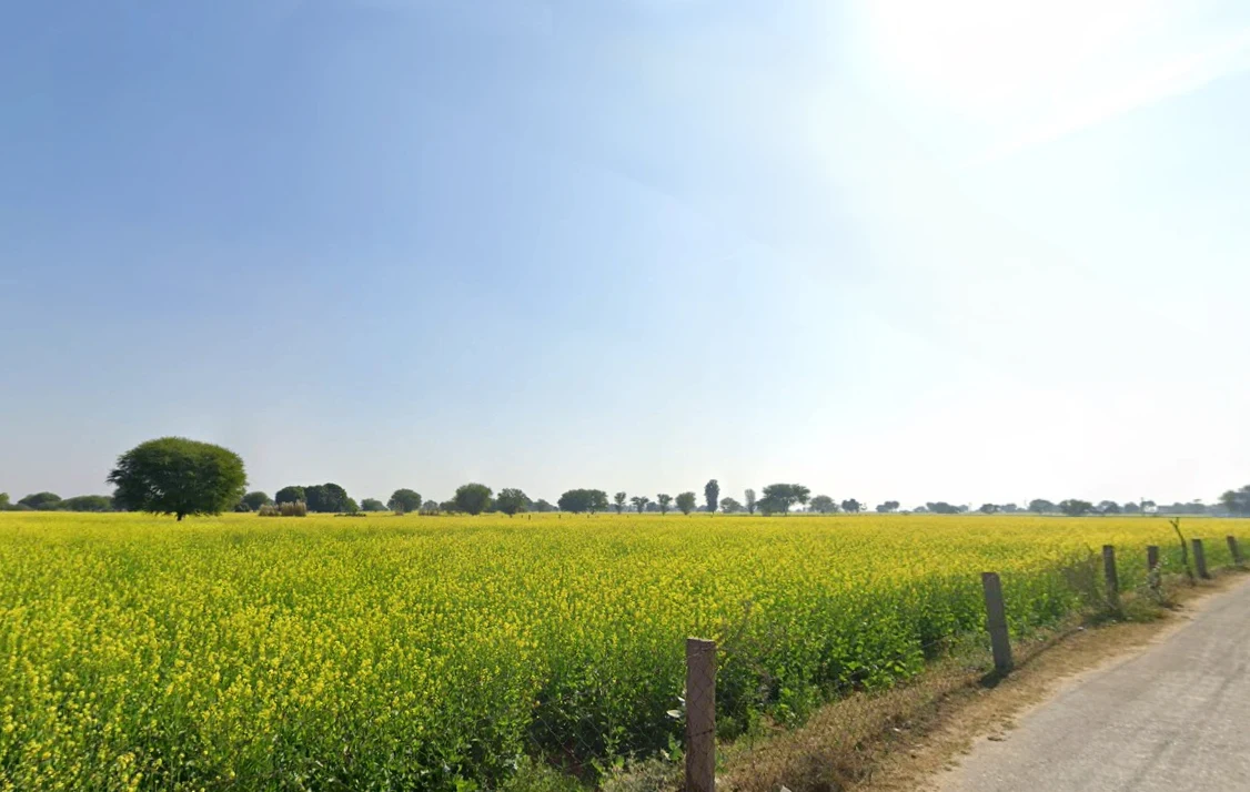 Kotkhawda, Rajasthan 303908, India