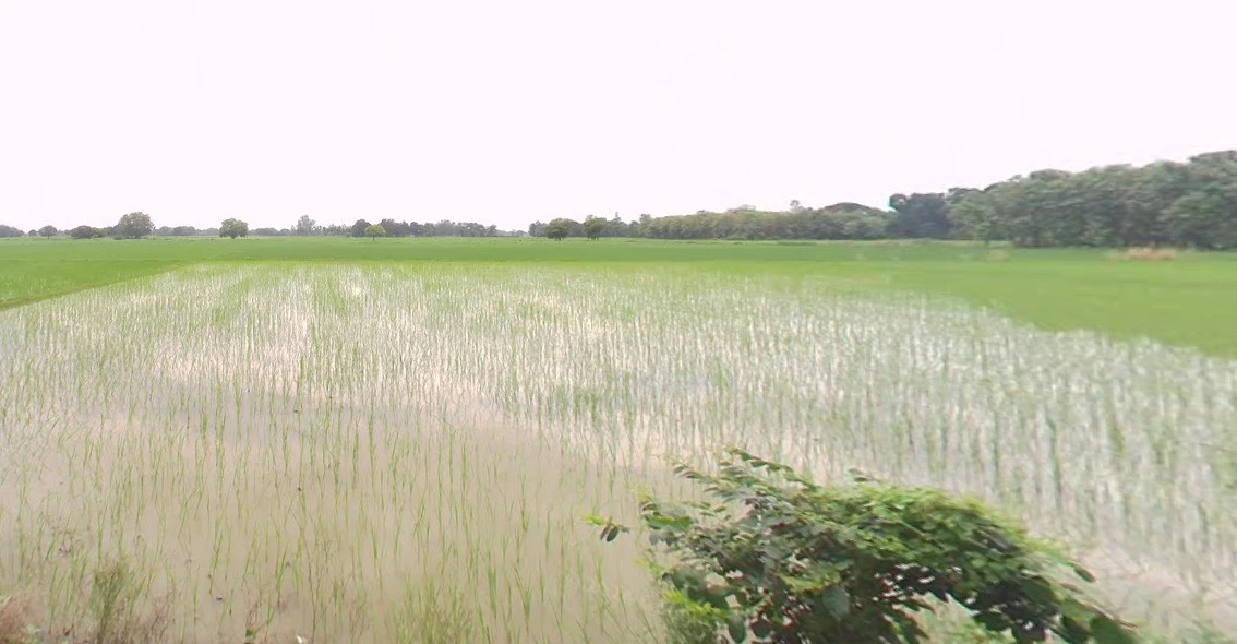 Jaithal, Madhya Pradesh 456006, India