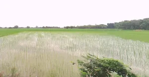 Jaithal, Madhya Pradesh 456006, India preview 2