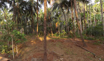 V3QG+F55, Kizhakkekara Road, Valanchery, Kerala 676552, India preview 2