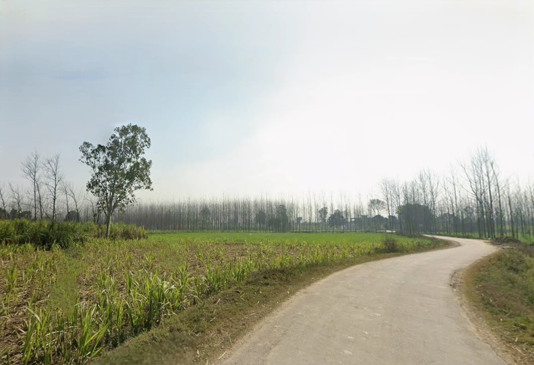 Pilkhani, Uttar Pradesh 247451, India