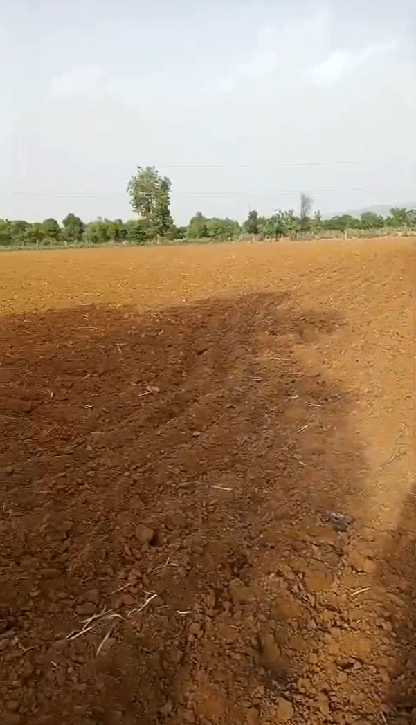 6MVF+G4 Machari, Rajasthan, India