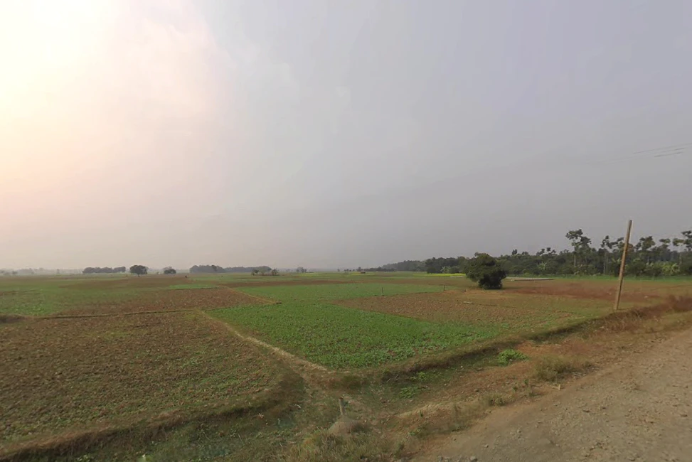 Plassey, West Bengal 741156, India