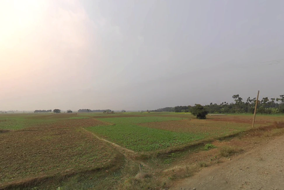 Plassey, West Bengal 741156, India