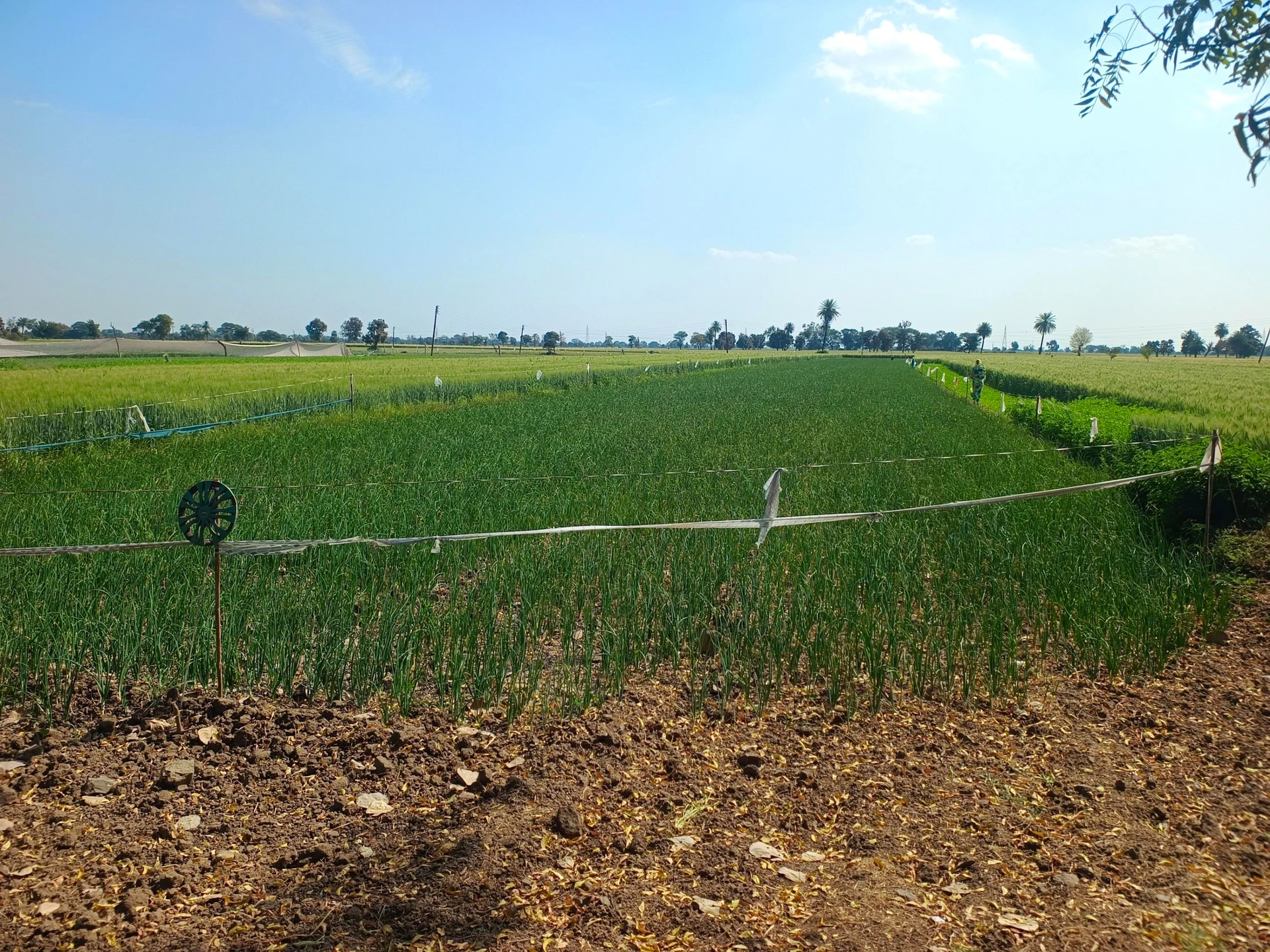 Ratlam, Madhya Pradesh 457001, India