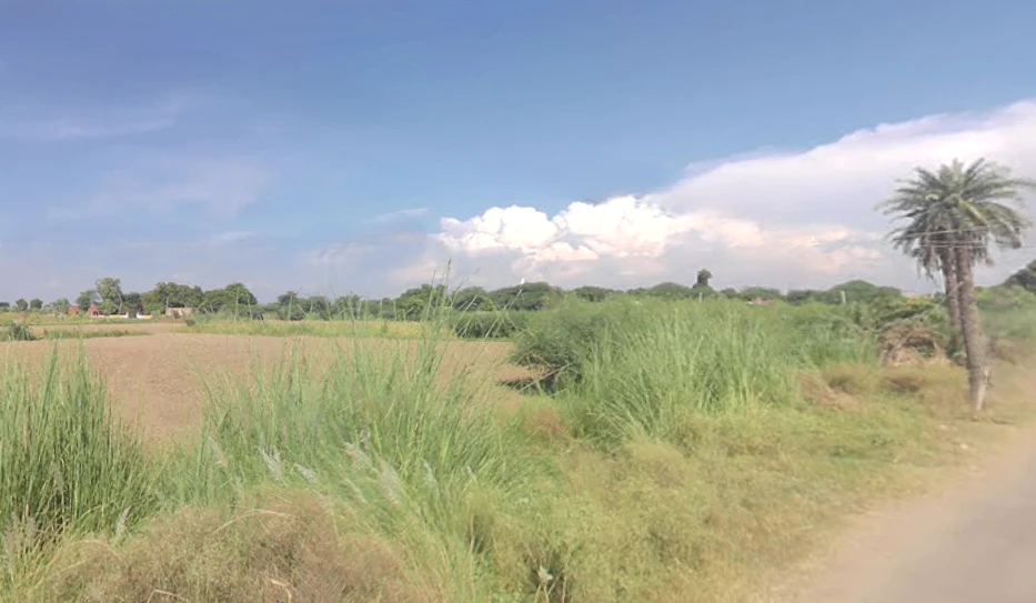 Chandeni, Haryana 122107, India