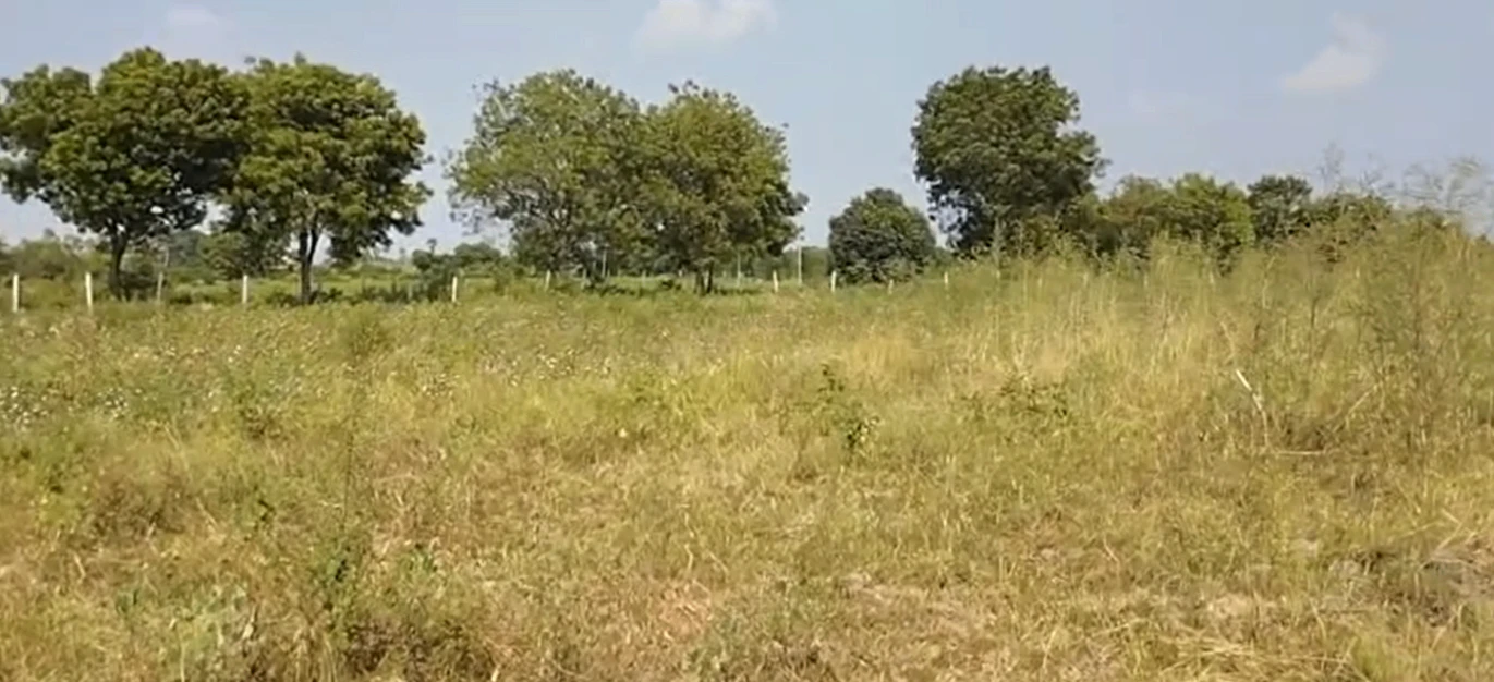 V478+M8 Gurrampode, Nalgonda, Telangana, India