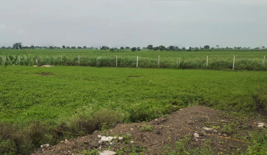 Ganjar, Chhattisgarh 493449, India