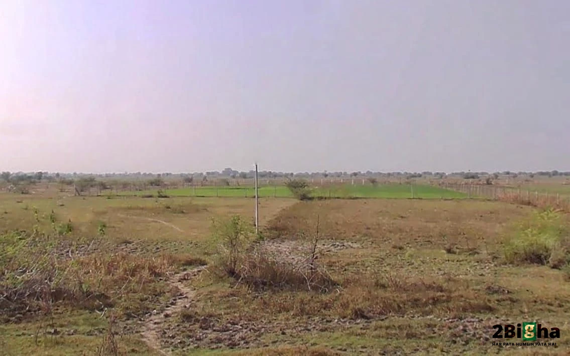 Chaksu, Rajasthan 303901, India
