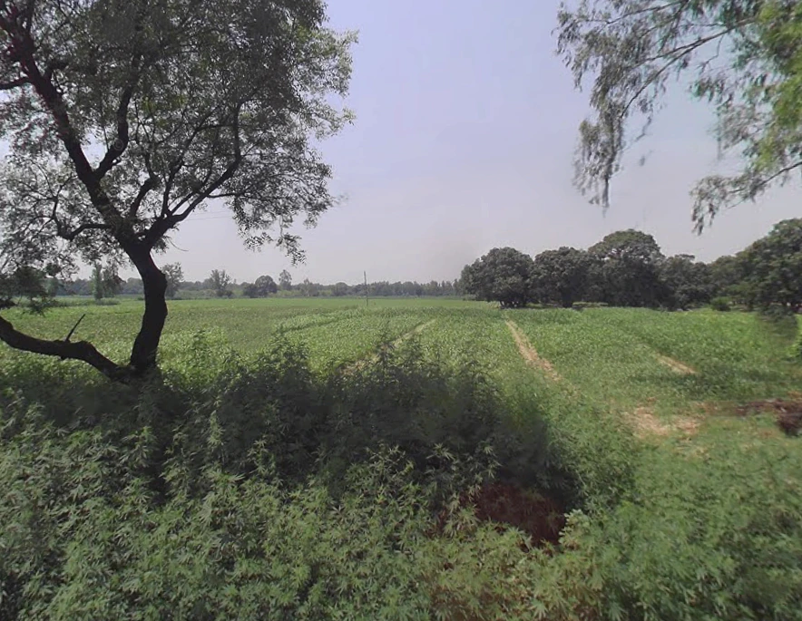 Khurja Rural, Uttar Pradesh 203131, India
