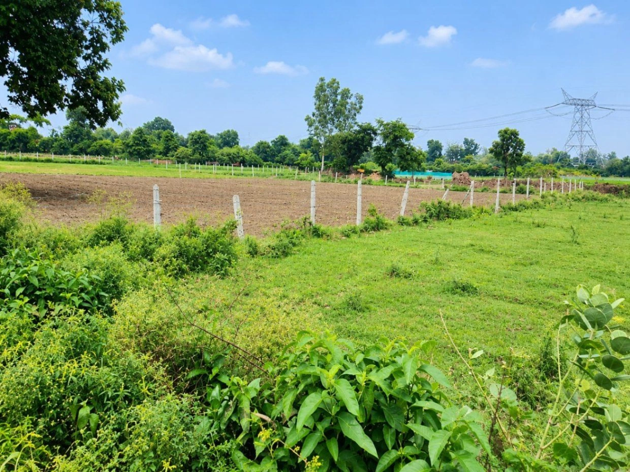 Bihta, Patna, Bihar 801103, India - Photo 3